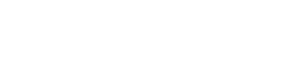 Timeslive-2017-logo_CUT